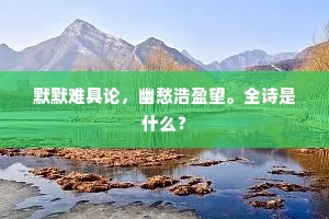 默默难具论，幽愁浩盈望。全诗是什么？