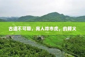 古道不可期，宵人哗市虎。的释义