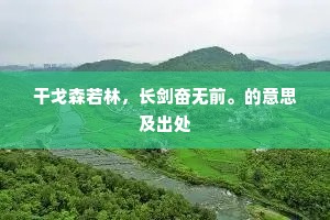 干戈森若林，长剑奋无前。的意思及出处