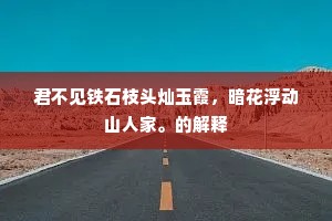君不见铁石枝头灿玉霞，暗花浮动山人家。的解释
