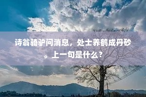 诗翁骑驴问消息，处士养鹤成丹砂。上一句是什么？