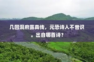 几回洞府露真传，元恐诗人不曾识。出自哪首诗？