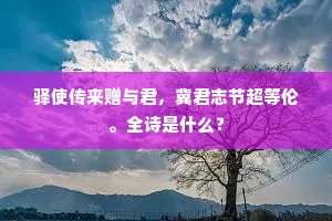驿使传来赠与君,冀君志节超等伦。全诗是什么? 驿使传来赠与君,冀君志节超等伦。全诗是什么?