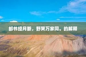 邮书经月断，野哭万家同。的解释