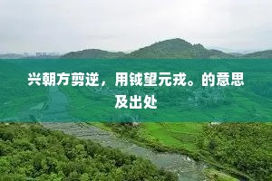兴朝方剪逆，用钺望元戎。的意思及出处