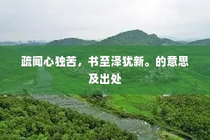 疏闻心独苦，书至泽犹新。的意思及出处