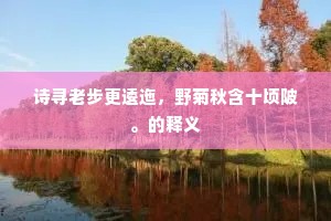 诗寻老步更逶迤，野菊秋含十顷陂。的释义