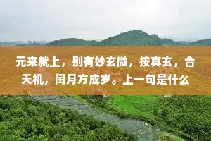 元来就上，别有妙玄微，按真玄，合天机，闰月方成岁。上一句是什么？