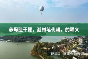 养母耻干禄，湖村笔代耕。的释义