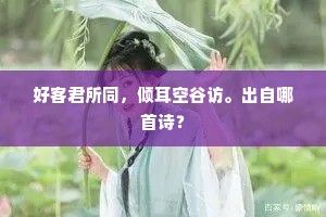 好客君所同，倾耳空谷访。出自哪首诗？