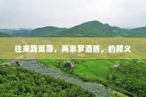 往来践篱落，两家罗酒酱。的释义