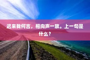 迟来我何言，相向声一放。上一句是什么？