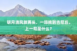 明月清风放两头，一筇挑到古尼丘。上一句是什么？