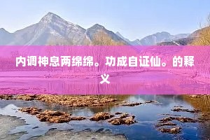 内调神息两绵绵。功成自证仙。的释义