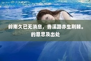 岭南久已无消息，曹溪路亦生荆棘。的意思及出处