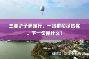 三脚驴子弄蹄行，一踏群萌尽皆惺。下一句是什么？