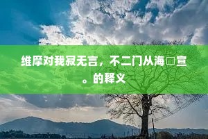 维摩对我寂无言，不二门从海□宣。的释义