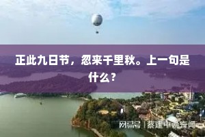 正此九日节，忽来千里秋。上一句是什么？