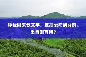 呼我同来饮文字，定扶衰病到尊前。出自哪首诗？