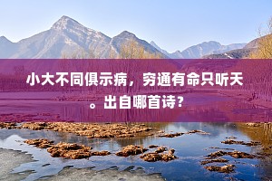 小大不同俱示病，穷通有命只听天。出自哪首诗？
