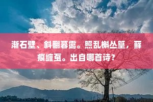 渐石壁、斜翻暮霭。照乱槲丛篁，藓痕缠虿。出自哪首诗？
