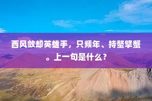 西风敛却英雄手，只频年、持螯擘蟹。上一句是什么？