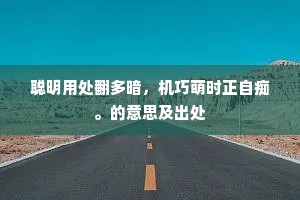 聪明用处翻多暗，机巧萌时正自痴。的意思及出处