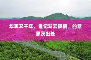 华表又千年，谁记驾云孤鹤。的意思及出处