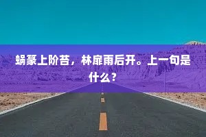 蜗篆上阶苔，林扉雨后开。上一句是什么？