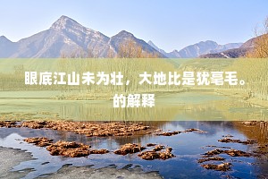 眼底江山未为壮，大地比是犹毫毛。的解释