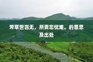 芳草世岂无，所贵忘忧难。的意思及出处