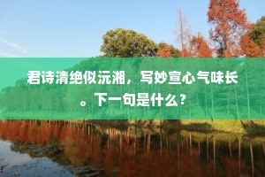 君诗清绝似沅湘，写妙宣心气味长。下一句是什么？
