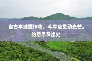 自古丰城匿神物，斗牛应觉动光芒。的意思及出处