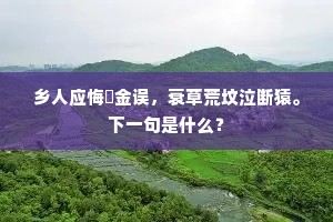 乡人应悔籯金误，衰草荒坟泣断猿。下一句是什么？