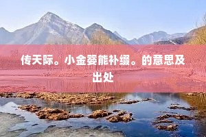 传天际。小金婴能补缀。的意思及出处