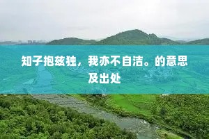 知子抱兹独，我亦不自洁。的意思及出处