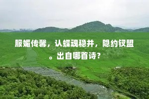 服媚传馨，认蝶魂稳并，隐约钗盟。出自哪首诗？