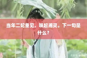 当年二妃重见，唤起湘灵。下一句是什么？