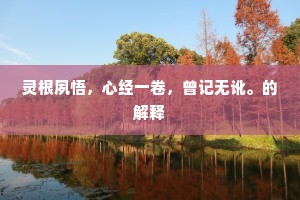 灵根夙悟，心经一卷，曾记无讹。的解释