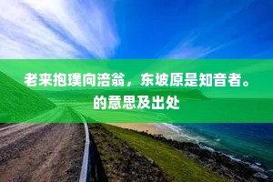 老来抱璞向涪翁，东坡原是知音者。的意思及出处