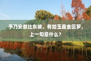 予乃安敢比东坡，有如玉盘金叵罗，上一句是什么？