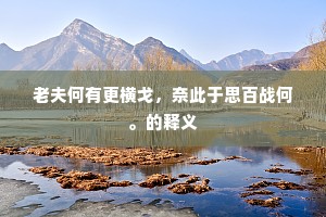老夫何有更横戈，奈此于思百战何。的释义