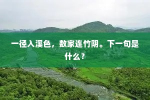 一径入溪色，数家连竹阴。下一句是什么？