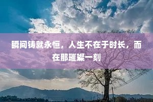 瞬间铸就永恒，人生不在于时长，而在那璀璨一刻
