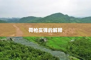 荷枪实弹的解释