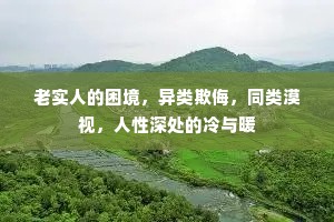 老实人的困境，异类欺侮，同类漠视，人性深处的冷与暖