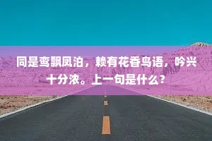 同是鸾飘凤泊，赖有花香鸟语，吟兴十分浓。上一句是什么？