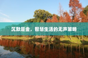 沉默是金，智慧生活的无声策略