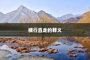 横行直走的释义