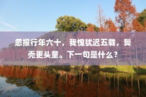 忽报行年六十，我愧犹迟五载，鬓秃更头童。下一句是什么？